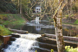 Barony Castle, Scottish Borders. As recommended by Family Fun Days Ltd
