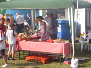Family Fun Days Ltd