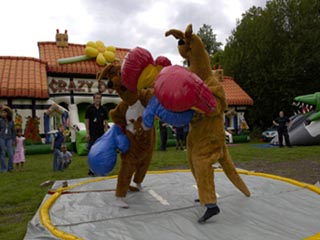Family Fun Days Ltd
