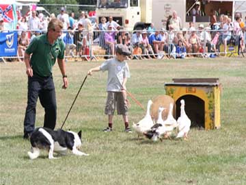 Family Fun Days Ltd