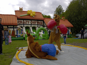 Family Fun Days Ltd