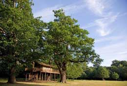 Theobalds Park, Cheshunt, Herts